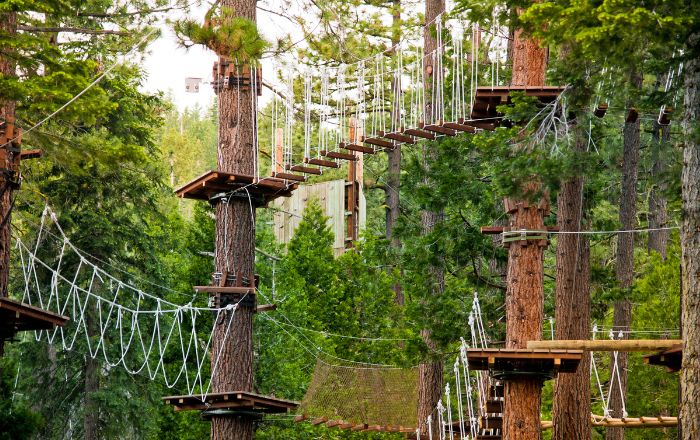 Parco Avventura Abruzzo: Dove Andare e Quali Percorsi Provare
