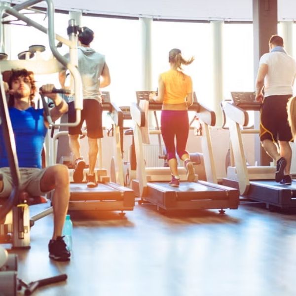 Fitness Cassia: Palestre, Corsi e Orari nella Zona Nord di Roma