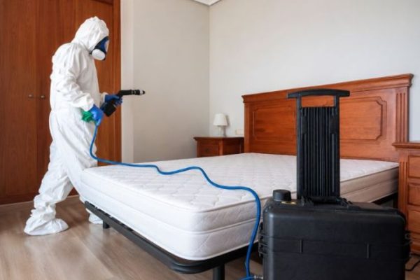 Disinfezione Ambienti Roma: Quando Serve, Metodi e Costi Medi