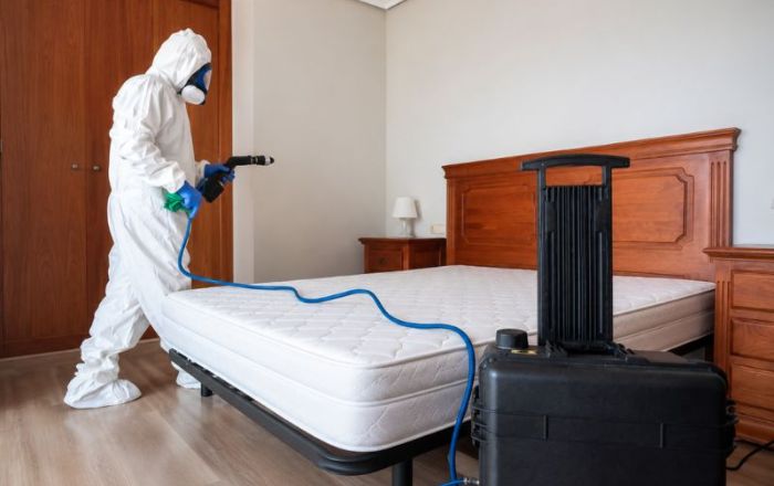 Disinfezione Ambienti Roma: Quando Serve, Metodi e Costi Medi